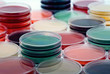 Petri plates collection Petri plates collection
