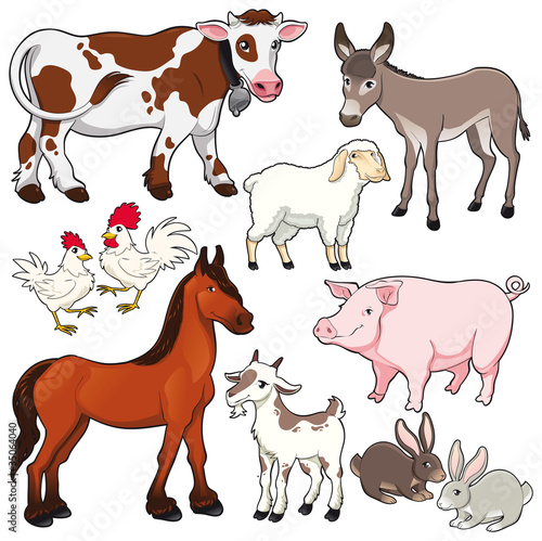 Vector: Farm animals. Vector and cartoon isolated characters. Farm animals. Vector and cartoon isolated characters.