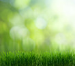 Foto: natural green background natural green background