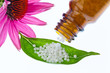 Homöopathie. Globuli als alternative Medizin