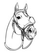 Horse head (Vector illustration) Horse head (Vector illustration)
