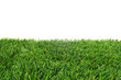 Grass