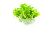 Fresh green leaf lettuce crisp on a white background