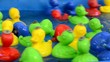 Enten