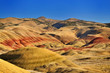 The Painted Hills afternoon
