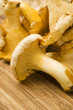 girolles