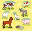 Farm animals. Vector and cartoon isolated characters. Farm animals. Vector and cartoon isolated characters.
