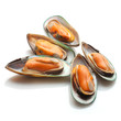 New Zeland green mussels isolated on white background