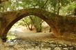 Tzelefos Bridge in Automn