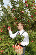 Man and apple tree.