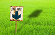 Grunge sign on green rice farm background Grunge sign on green rice farm background