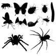 Bug silhouette