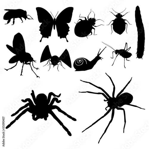 Bugs Silhouette