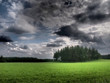Waldstück