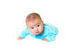 Portrait of an infant baby boy