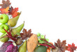 Autumn fruit border