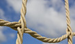 Verbunden Knoten © Matthias Buehner