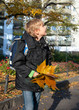 A boy fall leaves on a sunny day A boy fall leaves on a sunny day
