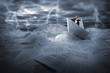 Photo: Businessman sailing in stormy papers sea Businessman sailing in stormy papers sea