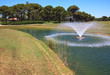 Fountain in the artificial pond. Fountain in the artificial pond.