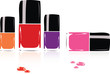Vector: collection of nail polish collection of nail polish