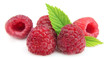 fresh raspberry