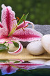 lily and spa stone in water