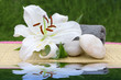 white lily and spa stone in water