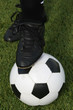 soccer player