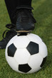 soccer player