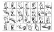 One-handed manual alphabets vintage engraving