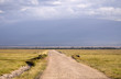 Game drive at Amboseli NP, Kenya