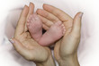 petits pieds