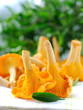 Handful of fresh chanterelles on a green background. Handful of fresh chanterelles on a green background.