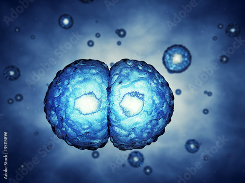 Photo: Mitosis concept , 3d illustration Mitosis concept , 3d illustration