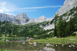 Cow at the shore of Seebensee