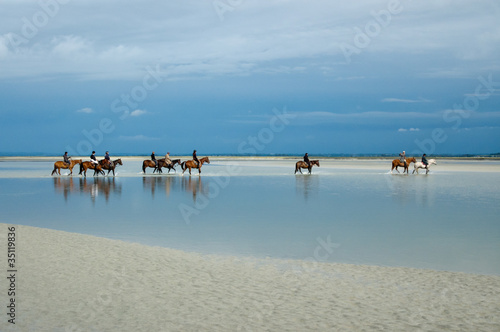 Photo: Chevaux dans la baie du Mont Saint Michel Chevaux dans la baie du Mont Saint Michel