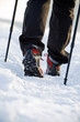 Photo: Nordic walking in winter Nordic walking in winter