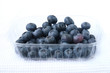 Blaue Kulturheidelbeeren