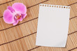 Orchidea e Notes