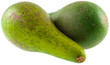 avocat