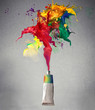 Colors