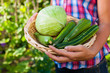 Gartenarbeit im Sommer - Frau mit Gemüse