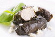 Dolma mit Reis