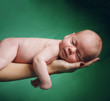 Photo: New born baby resting on mom's hand. New born baby resting on mom's hand.
