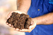 hands with soil