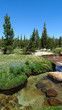 Cathedral Lake area at Yosemite National Park
