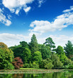summer lake