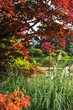 colourful greenery