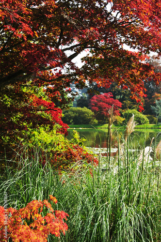 Photo: colourful greenery colourful greenery